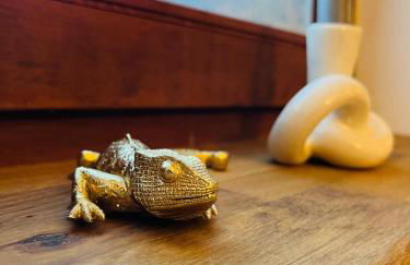 OVERNIGHT No4 - Arcade, Kino, Airhockey, Dart - Foto 26