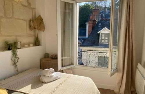 Duplex cinéma - centre historique Tours - Foto 7