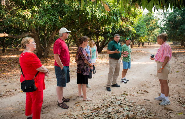 Tour de la fruta tropical - Foto 6