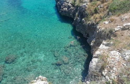 Il Gelso Bianco - Foto 29