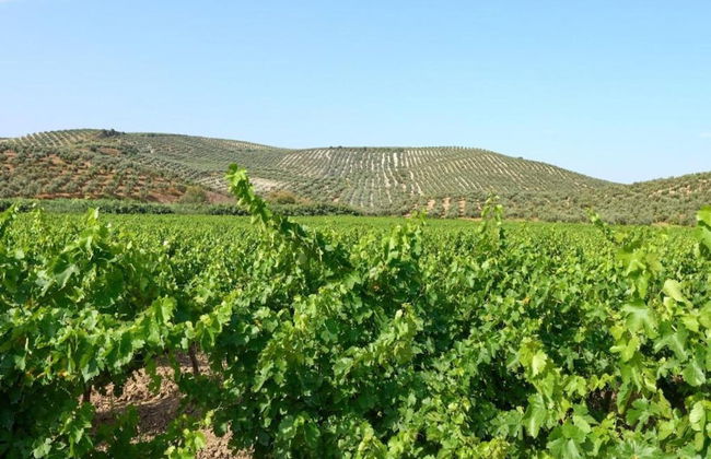 Apartment in Montilla Near Palacio Medinaceli - Foto 30