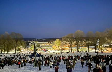 Boyne Mountain Disciples Village Unit 660 - Foto 30