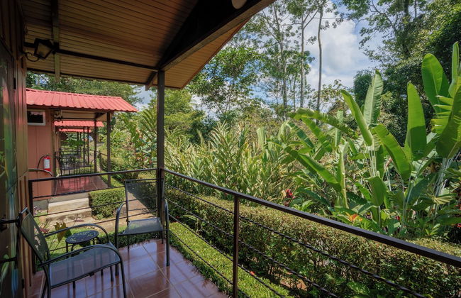 Villas Josipek - Photo 58