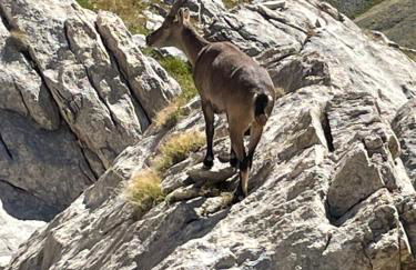 AU PIED DES PISTES D'ARVIEUX - Foto 26