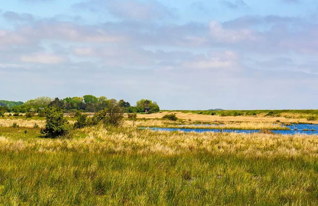 10 Person Holiday Home in Dannemare - Foto 21