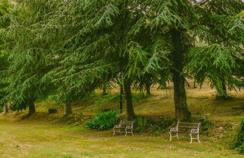 Tenuta delle Rose - Country House - Foto 22