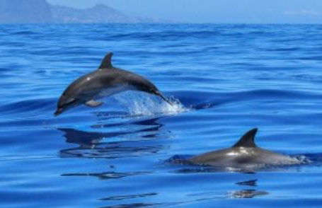 Apartamento Any - Foto 24