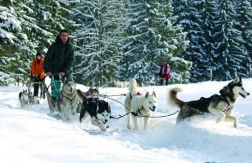 Appartement - Prapoutel - Les Adrets - 7 Laux - Foto 23