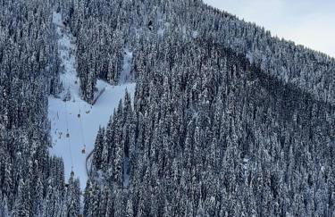 Raisc - La tua casa in Val Badia - Photo 16