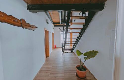 Stara škola - Photo 14