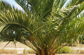 Belle villa à 150m de la plage. - Photo 35