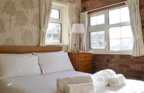 Brown Snout - Foto 7