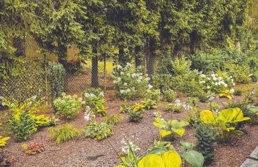 COZY COTTAGE IN THE WOODS - Przytulny domek w lesie - Photo 22