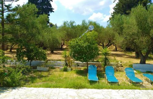 Blue Studios by Irene - Photo 20