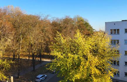 MoreLove II - Photo 14