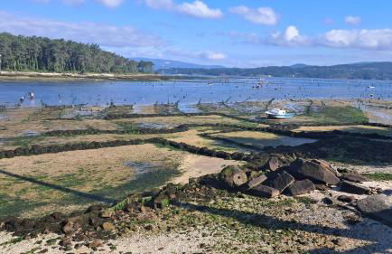 Casa Cortegada - Foto 37