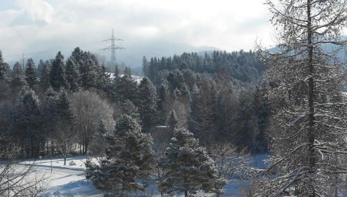 FeWo Ortloff - Foto 4