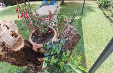 Villa Dolcitalia tra Gardaland e le Terme di Colà Lazise - Foto 10