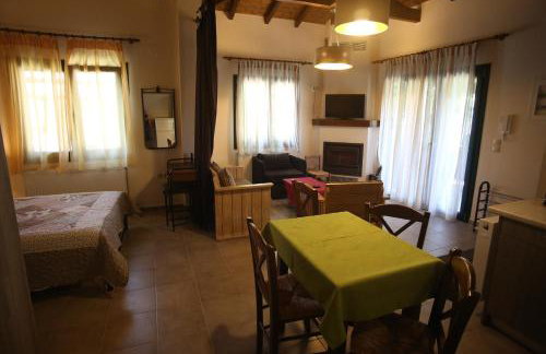 Morchella MushROOM - Foto 12