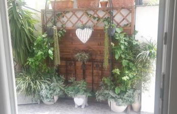 La Necussella - Foto 27