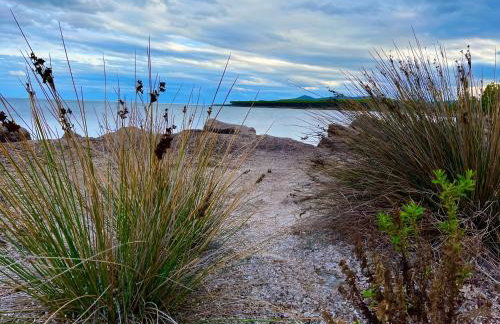 Agata verde con terrazza e giardino - Foto 24