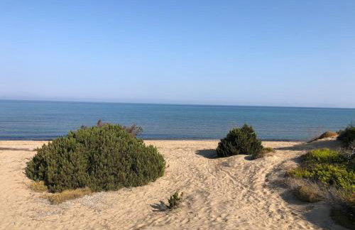 Strofilia Farm House, Kalogria! The Sea, The Forest, The Sun - Foto 67