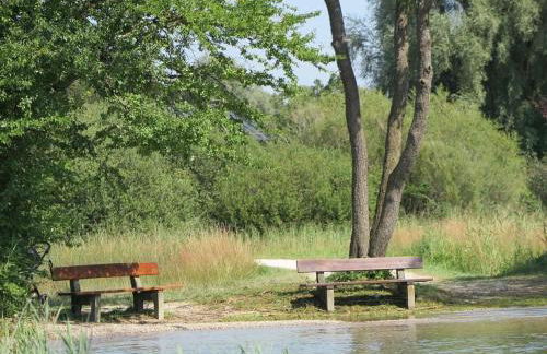 Dennenboomdroom - Foto 55