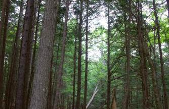 Lincolnville 2BR - Beach Vibes & Backyard BBQ - Foto 40