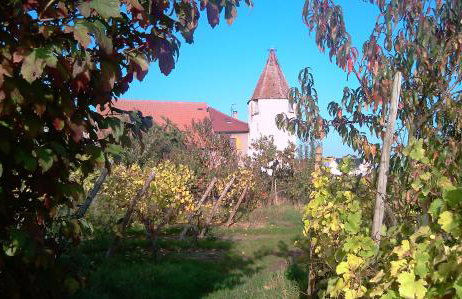 Les gîtes de la Tour, appartement "La Plaine" - Foto 14