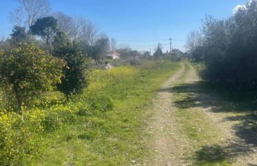 Mulberry House by the Sea Νέα Μάκρη - Photo 40