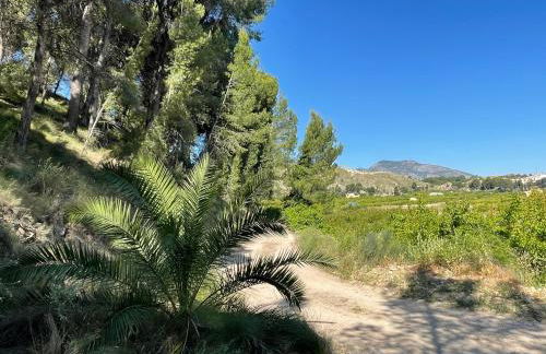 Casa Ramoncico. Finca el Campillo - Foto 48