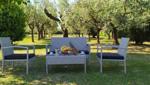 Casolare L'Antico Olivo - Foto 2