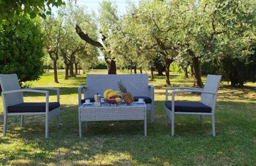 Casolare L'Antico Olivo - Foto 2