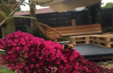 Red Chapel - Foto 48