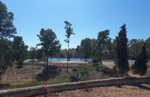 Palacete Dos Alcaides - Foto 79