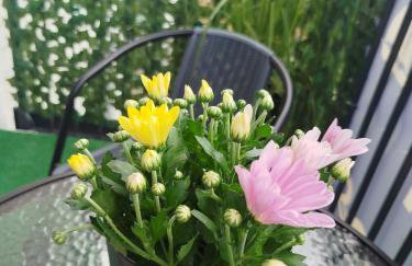 Trimare Blue Apartament Sztutowo - Foto 22