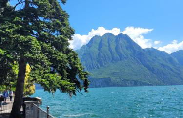 La Bella Vista - Photo 4