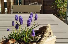 Villa L'Epicléa, Chorges, entre lac et montagnes - Photo 18