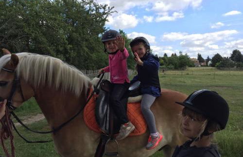 Gut Fischer - Foto 35