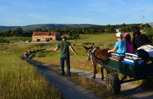Turismo rural 4QUINTAS - Foto 6