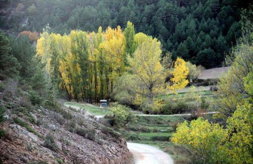 Casa Rural Lahuerta - Foto 42