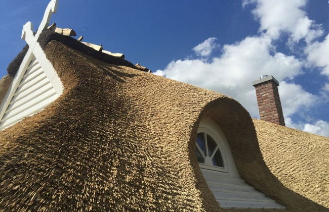 Holiday Home Rugen-dream - Photo 16