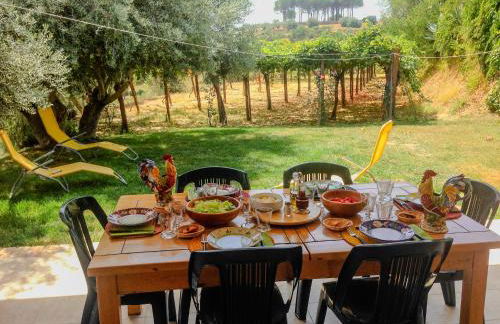 Tenuta Bartoli - Foto 20