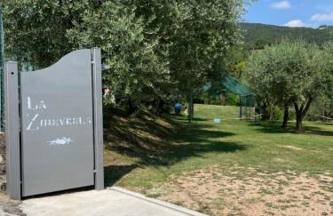 La Zinevrela - Foto 32