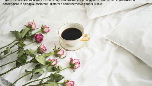 Vacanze Residence Mimose - Foto 2