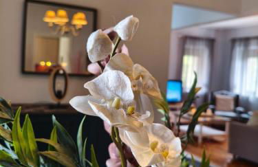 Heliopetra - Foto 23