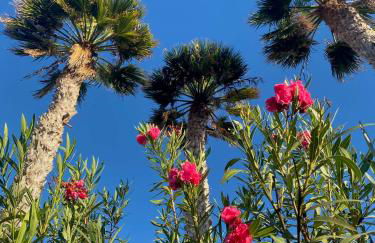 Casa Ronda - Foto 42