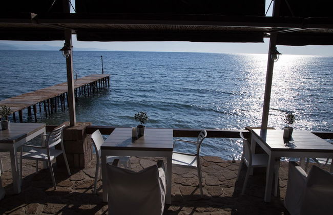 Olive Press Hotel & Apartments - Foto 49