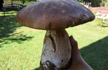 Reset w górach - Foto 35