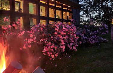 Ferienwohnung Haloi - Photo 11